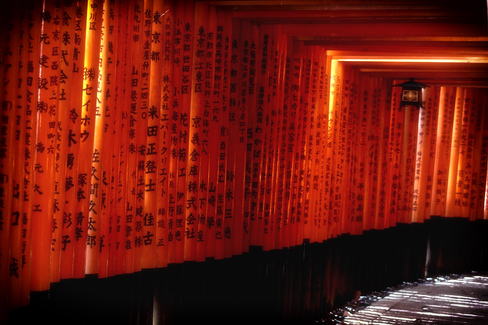 Excelente viaje a Japón